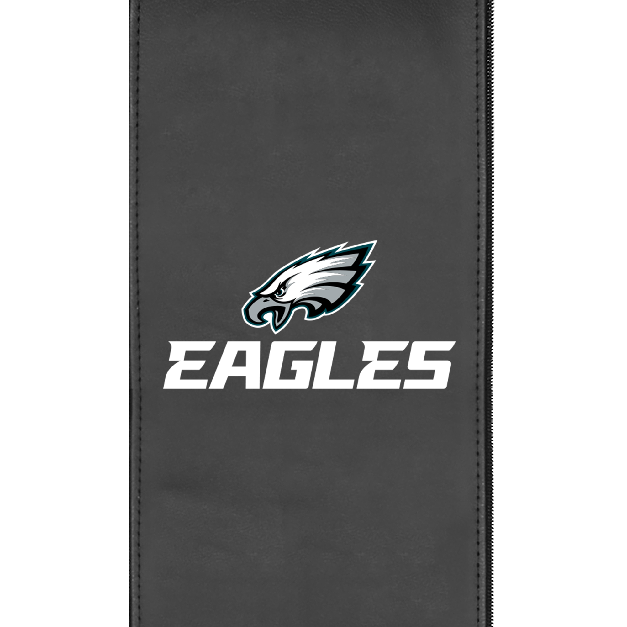 Philadelphia Eagles  Logo Panel 